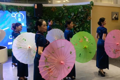 品牌天下戰略合作晨曦藝術公司會員主題活動圓滿舉行